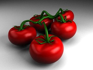 - materials v-ray 3d model