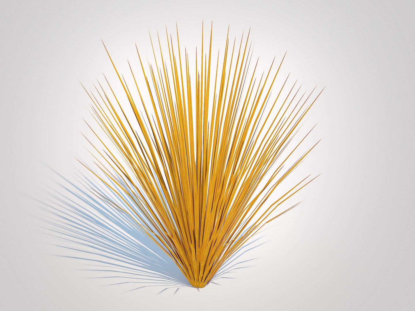 3D Carex buchananii - Leatherleaf Sedge https://p.turbosquid.com/ts-thumb/6B/Ic3LUq/EK/2/jpg/1726402607/1920x1080/fit_q87/0beaae60bd485965c98086f4f0b91671d6f22378/2.jpg
