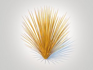 3D Carex buchananii - Leatherleaf Sedge