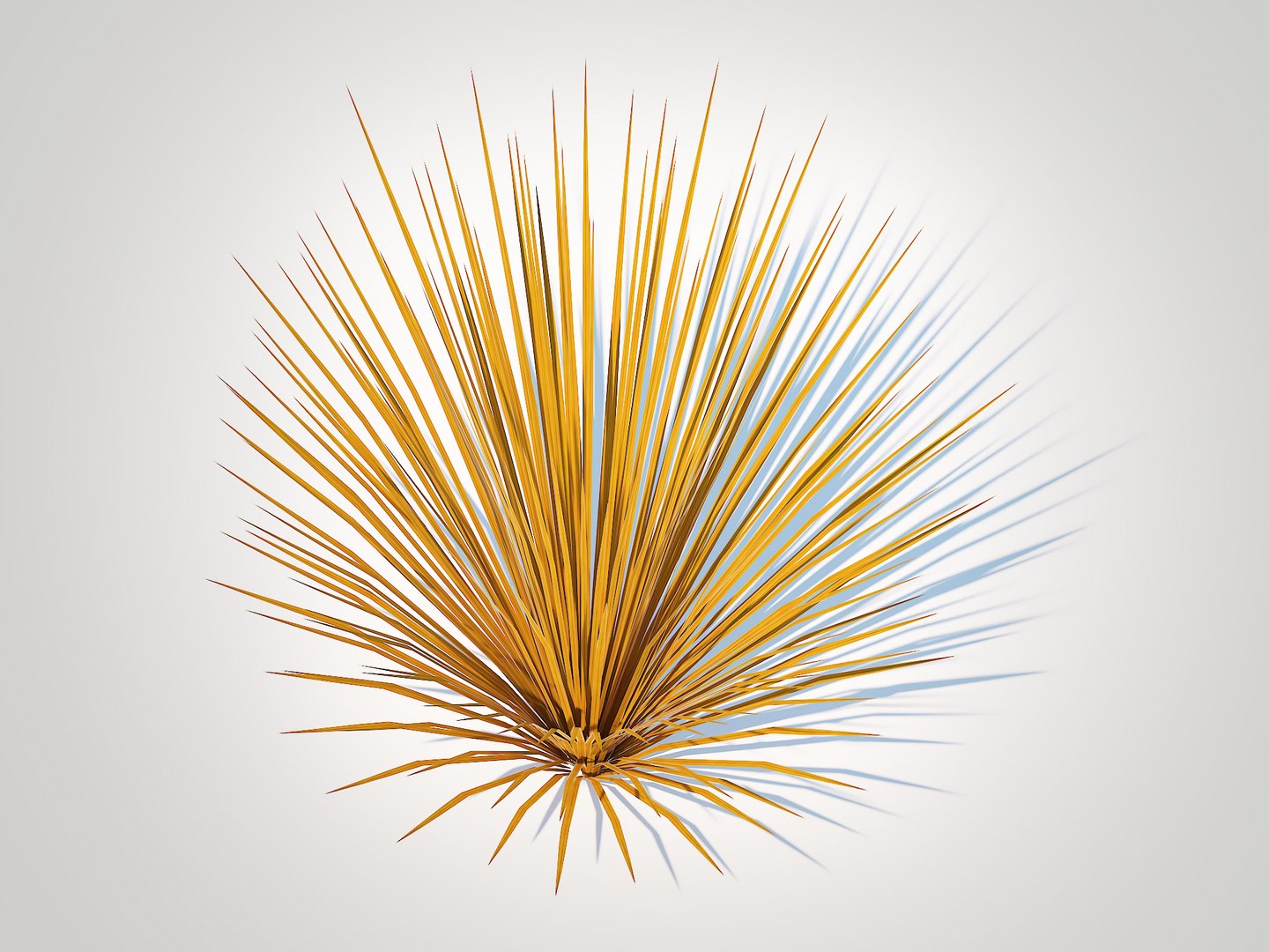 3D Carex buchananii - Leatherleaf Sedge https://p.turbosquid.com/ts-thumb/6B/Ic3LUq/v1/5/jpg/1726402609/1920x1080/fit_q87/fa134213b42644fbe076276858b06398d3ceb1fc/5.jpg