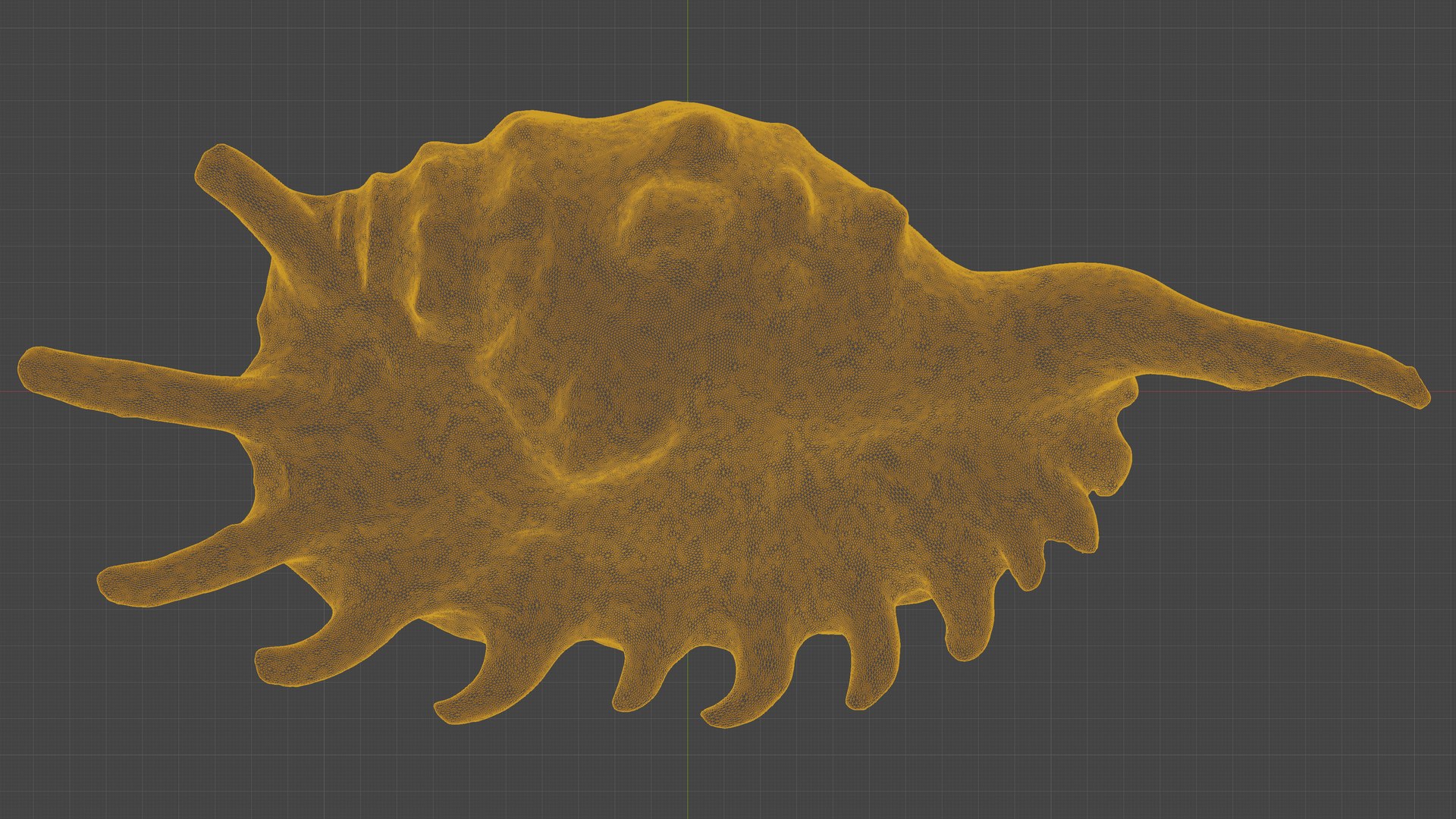 3D Scanned Seashell - TurboSquid 2345933