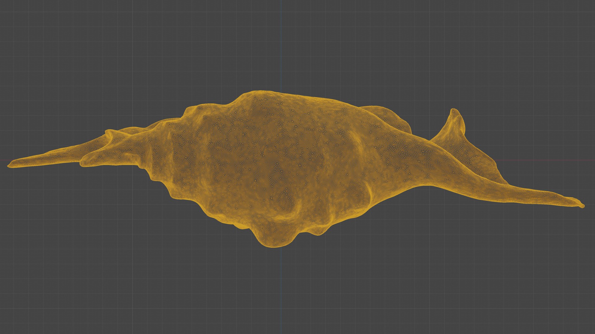 3D Scanned Seashell - TurboSquid 2345933