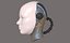 Cabeza de robot