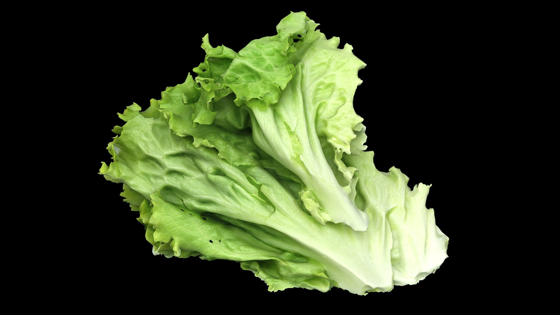 Salad Head Part 07 3D TurboSquid 1808403