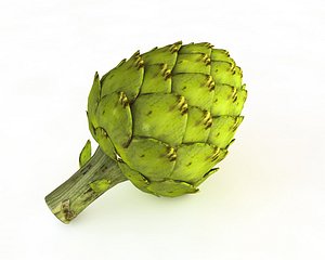 3D artichoke tomato model
