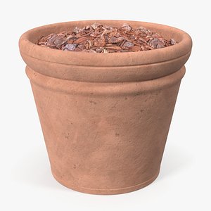 Medium Terracotta Flower Pot