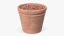 Medium Terracotta Flower Pot