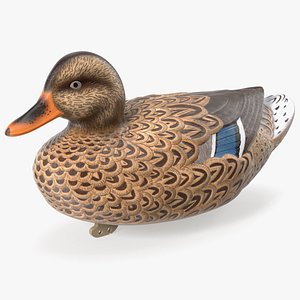 Duck Decoy model