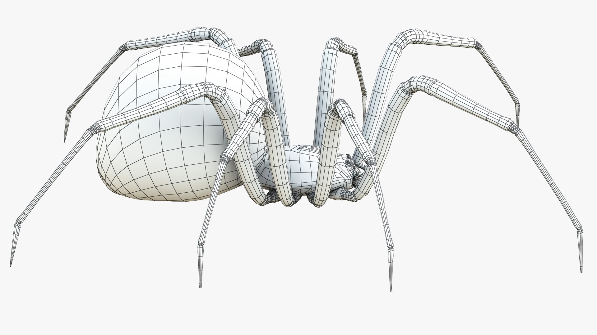 3D Black Widow Rigged Animated 8K PBR Textures model https://p.turbosquid.com/ts-thumb/6B/yF0aZO/4L/blackwidow_wire_04/jpg/1659272865/1920x1080/fit_q87/1ba2e96bc524f0d21fc706d733a505ac6b0c0000/blackwidow_wire_04.jpg