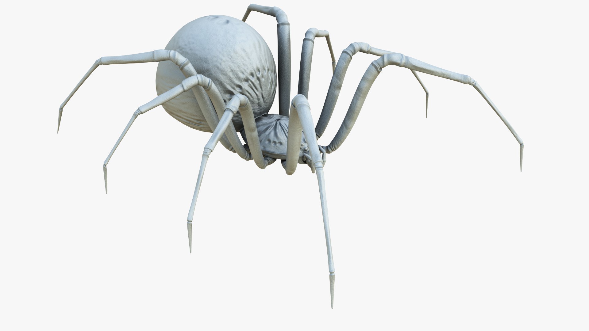 3D Black Widow Rigged Animated 8K PBR Textures model https://p.turbosquid.com/ts-thumb/6B/yF0aZO/ML/blackwidow_sculpt_01/jpg/1659272844/1920x1080/fit_q87/85c6d2b1944d8f0cf6fb05a4643d9c5dfb2287f4/blackwidow_sculpt_01.jpg