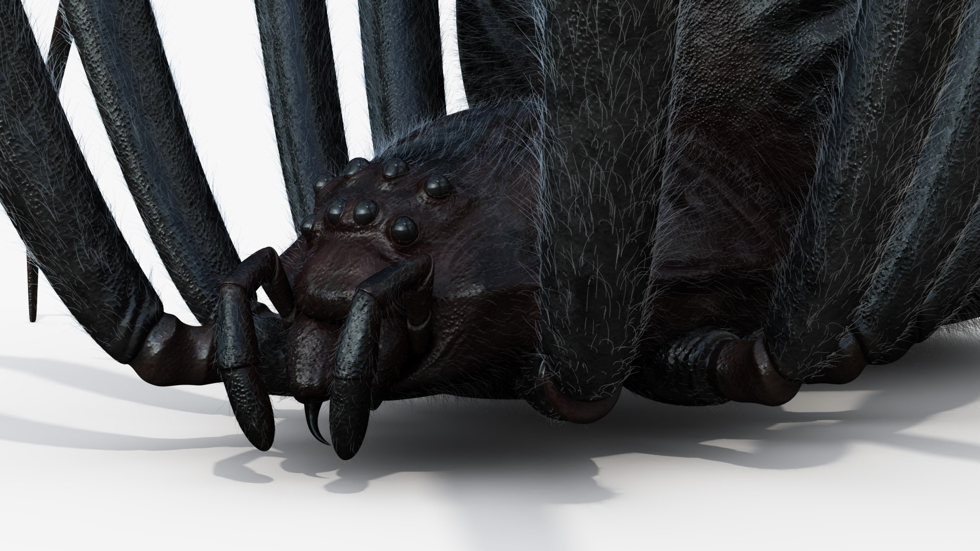 3D Black Widow Rigged Animated 8K PBR Textures model https://p.turbosquid.com/ts-thumb/6B/yF0aZO/Mp/blackwidow_04/jpg/1659272766/1920x1080/fit_q87/c724e1882167ef37cf29c6e89f389349700cf49c/blackwidow_04.jpg