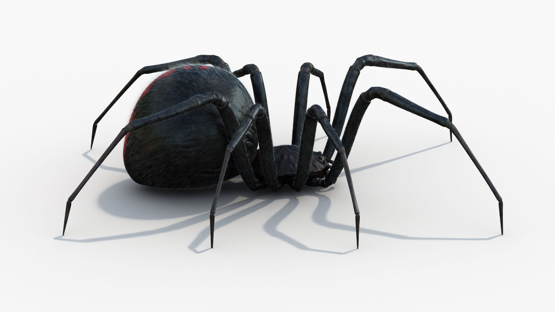 3D Black Widow Rigged Animated 8K PBR Textures model https://p.turbosquid.com/ts-thumb/6B/yF0aZO/Wq/blackwidow/jpg/1659274391/1920x1080/turn_fit_q99/e6191f395822585fc755c108f7186acf4402814f/blackwidow-1.jpg