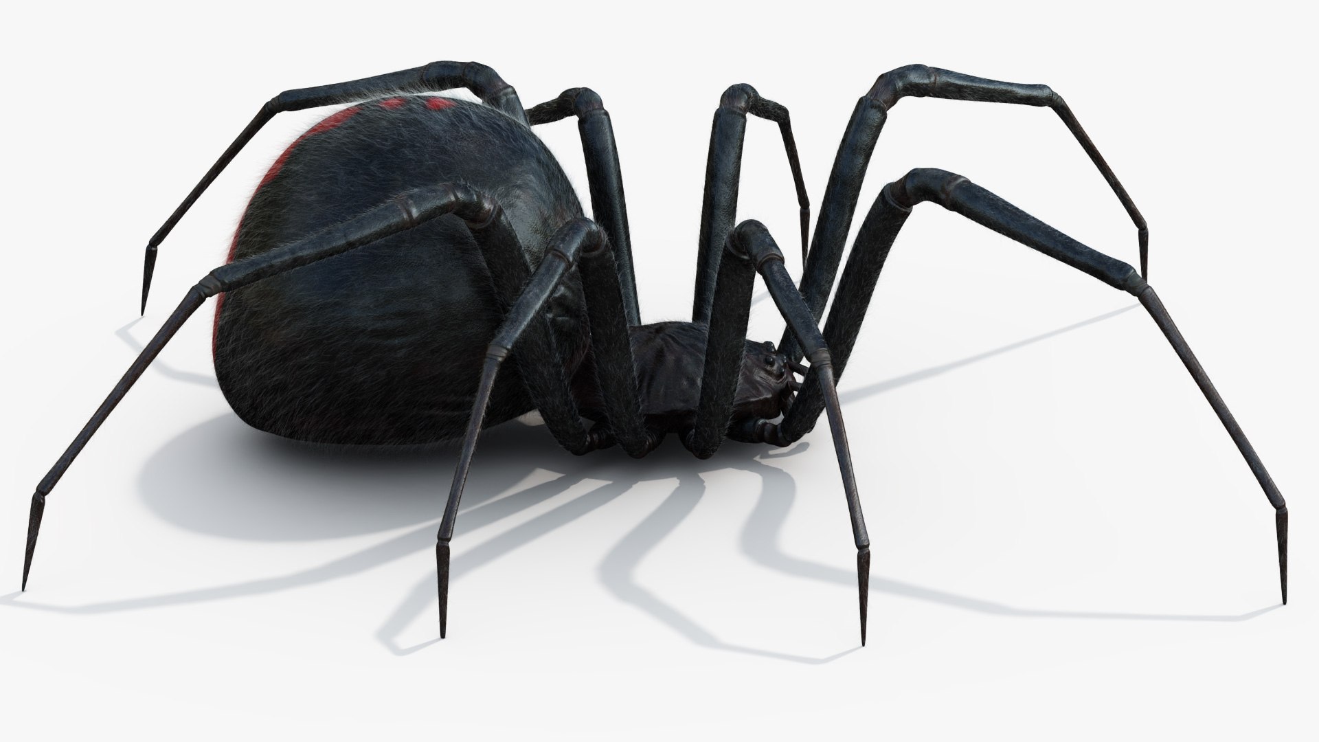 3D Black Widow Rigged Animated 8K PBR Textures model https://p.turbosquid.com/ts-thumb/6B/yF0aZO/oY/blackwidow_05/jpg/1659272771/1920x1080/fit_q87/f9c6e6d2b42883ba605cd703bb2677223956d98f/blackwidow_05.jpg