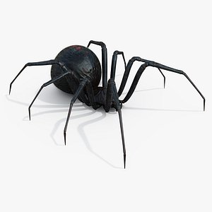 Black Widow Rigged Animated 8K PBR Textures