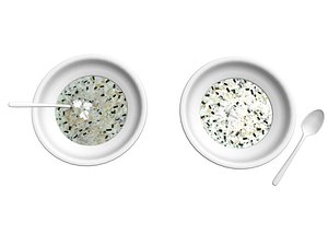 grain 3D model
