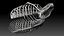 Conjunto de costelas e pescoço de dinossauro Tarbosaurus Bataar
