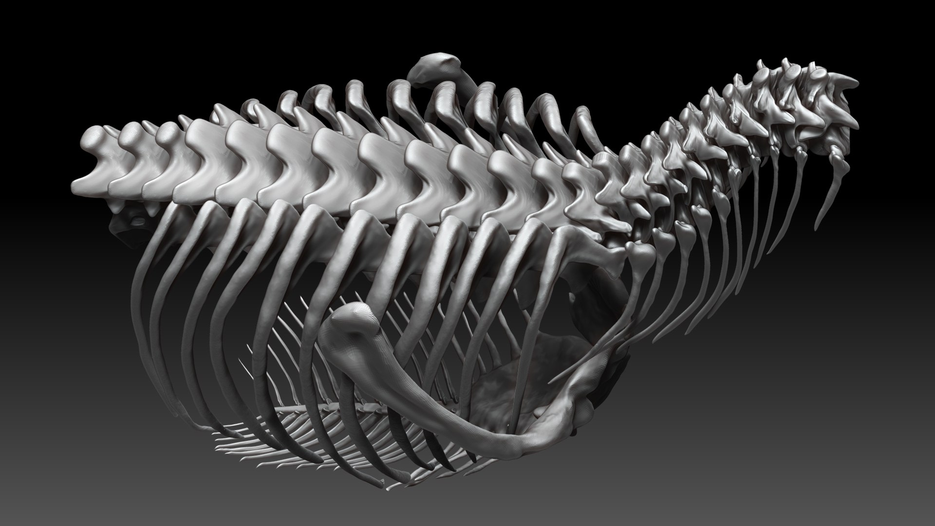3D Tarbosaurus Bataar Rib and Neck Set https://p.turbosquid.com/ts-thumb/6C/I0GeNz/7G/04/jpg/1653424950/1920x1080/fit_q87/8452d2c08777bb4f0562d8abfb362850c520a436/04.jpg