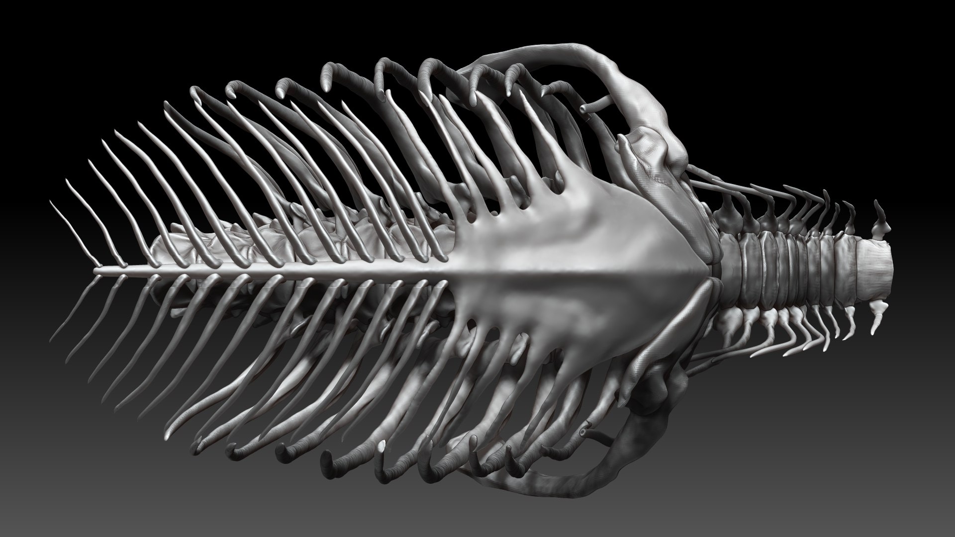 3D Tarbosaurus Bataar Rib and Neck Set https://p.turbosquid.com/ts-thumb/6C/I0GeNz/BG/07/jpg/1653424952/1920x1080/fit_q87/b81b22e022fb9947fb6a5f63809dca134026d7e8/07.jpg