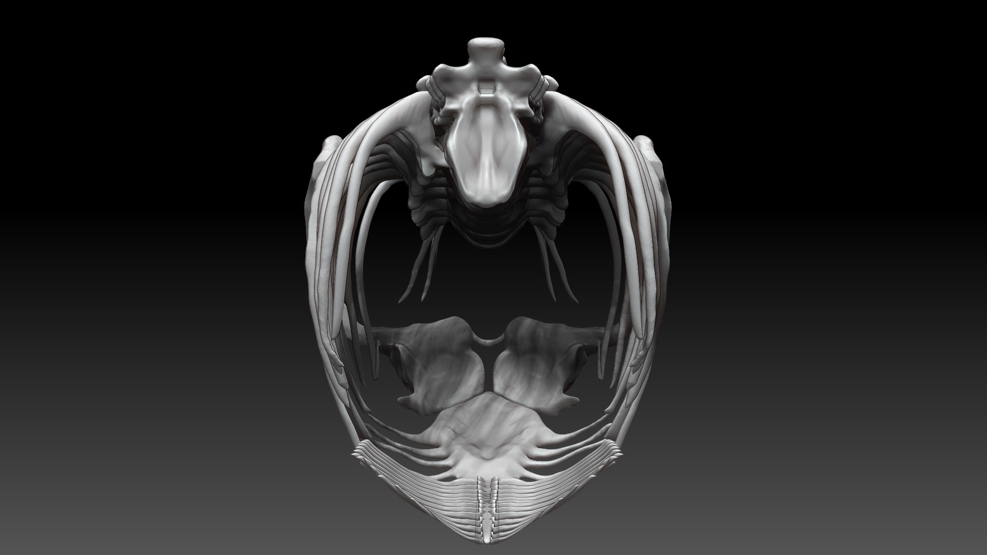 3D Tarbosaurus Bataar Rib and Neck Set https://p.turbosquid.com/ts-thumb/6C/I0GeNz/bz/06/jpg/1653424950/1920x1080/fit_q87/60a585ab93939e21caffee9605eaf6dd6fb933b6/06.jpg