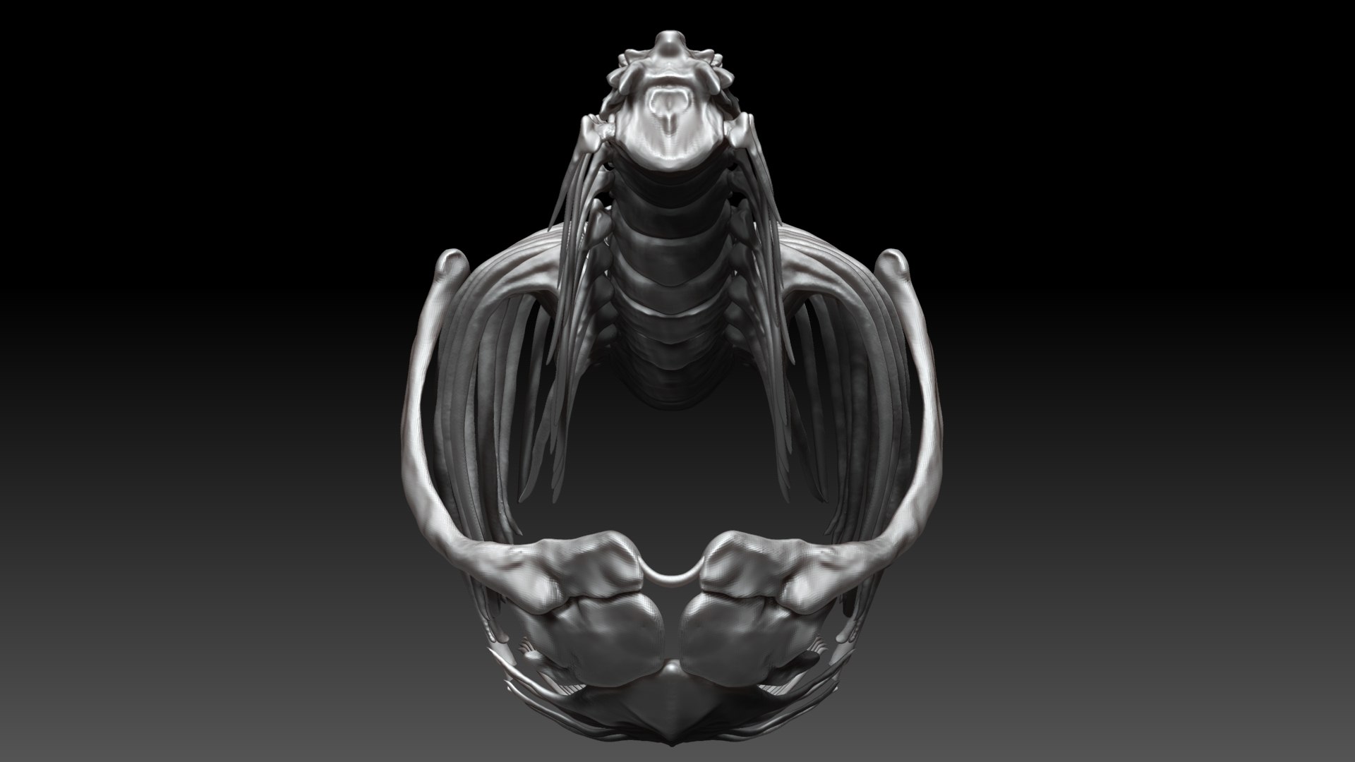 3D Tarbosaurus Bataar Rib and Neck Set https://p.turbosquid.com/ts-thumb/6C/I0GeNz/yH/03/jpg/1653424949/1920x1080/fit_q87/6a8b04c837a331c1a84cb8a31744edbe4bc6d8d6/03.jpg