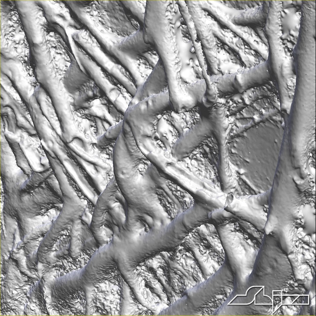 banyan roots wall 3d max https://p.turbosquid.com/ts-thumb/6C/I41S4s/MnvRtsJy/banyanrootswall2_wire3/jpg/1418647679/1920x1080/fit_q87/f967c1d2db7da2d817f7471396b4de4806ea051f/banyanrootswall2_wire3.jpg