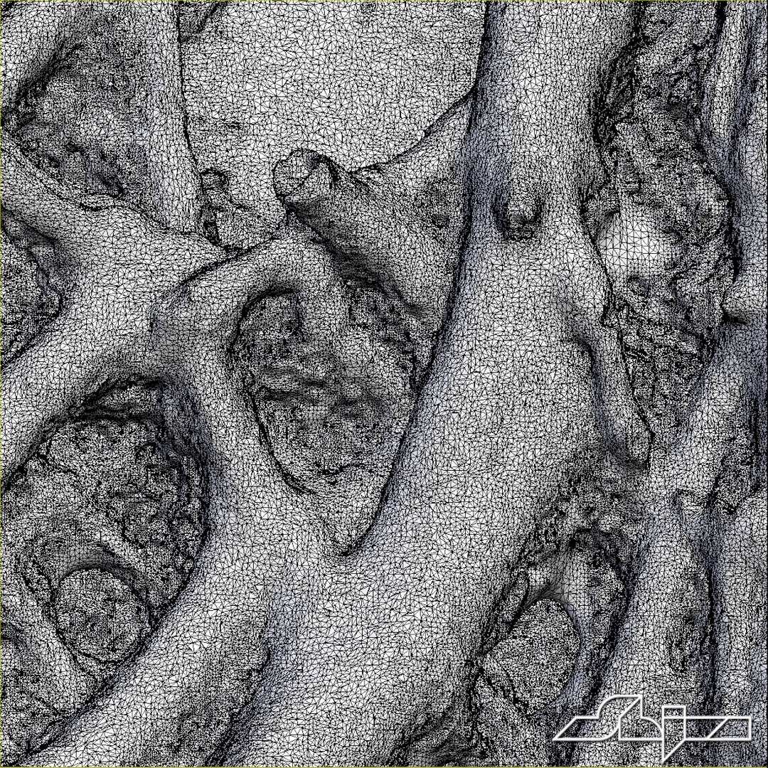 banyan roots wall 3d max https://p.turbosquid.com/ts-thumb/6C/I41S4s/g4UhDEia/banyanrootswall2_wire5/jpg/1418647679/1920x1080/fit_q87/082d992cc5025f51b237fbcd9517f4681a4e3834/banyanrootswall2_wire5.jpg