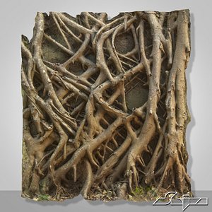 banyan roots wall 3d max