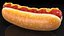 Hot Dog with Mustard