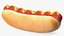 Hot Dog with Mustard
