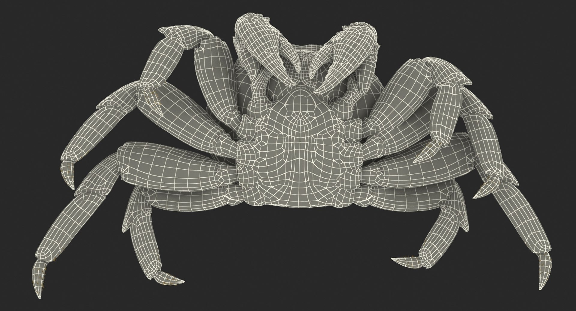 3d max sally lightfoot crab https://p.turbosquid.com/ts-thumb/6C/Uyv0hG/31u6lXbo/sallylightfootcrabvray3dmodel018/jpg/1488348998/1920x1080/fit_q87/e3997209d33c6274d001e660908b8ad558f8a889/sallylightfootcrabvray3dmodel018.jpg
