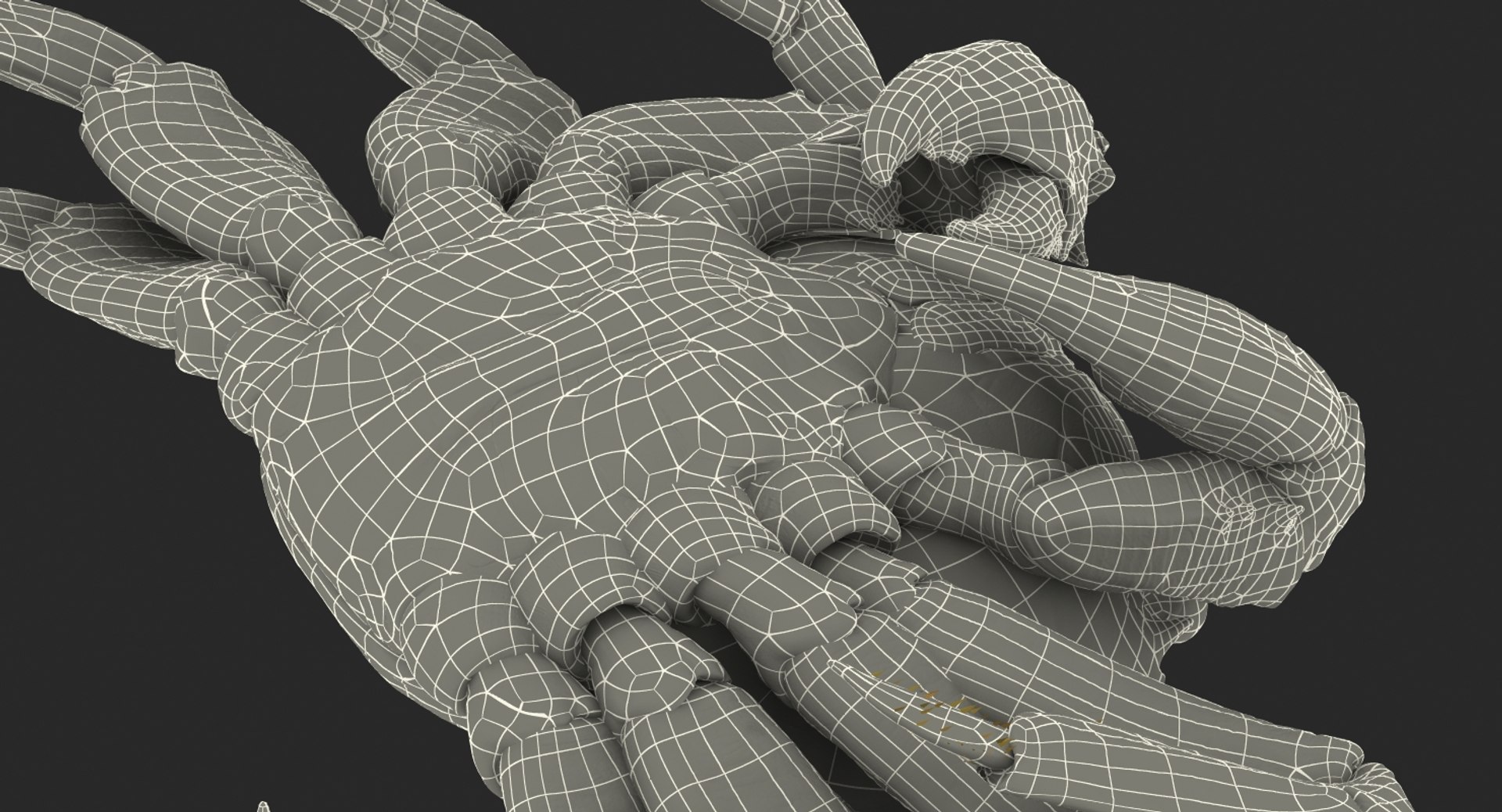 3d max sally lightfoot crab https://p.turbosquid.com/ts-thumb/6C/Uyv0hG/9fQlqET8/sallylightfootcrabvray3dmodel021/jpg/1488348998/1920x1080/fit_q87/113947c152baf8179b61be883c9f035b8fcbc8f2/sallylightfootcrabvray3dmodel021.jpg