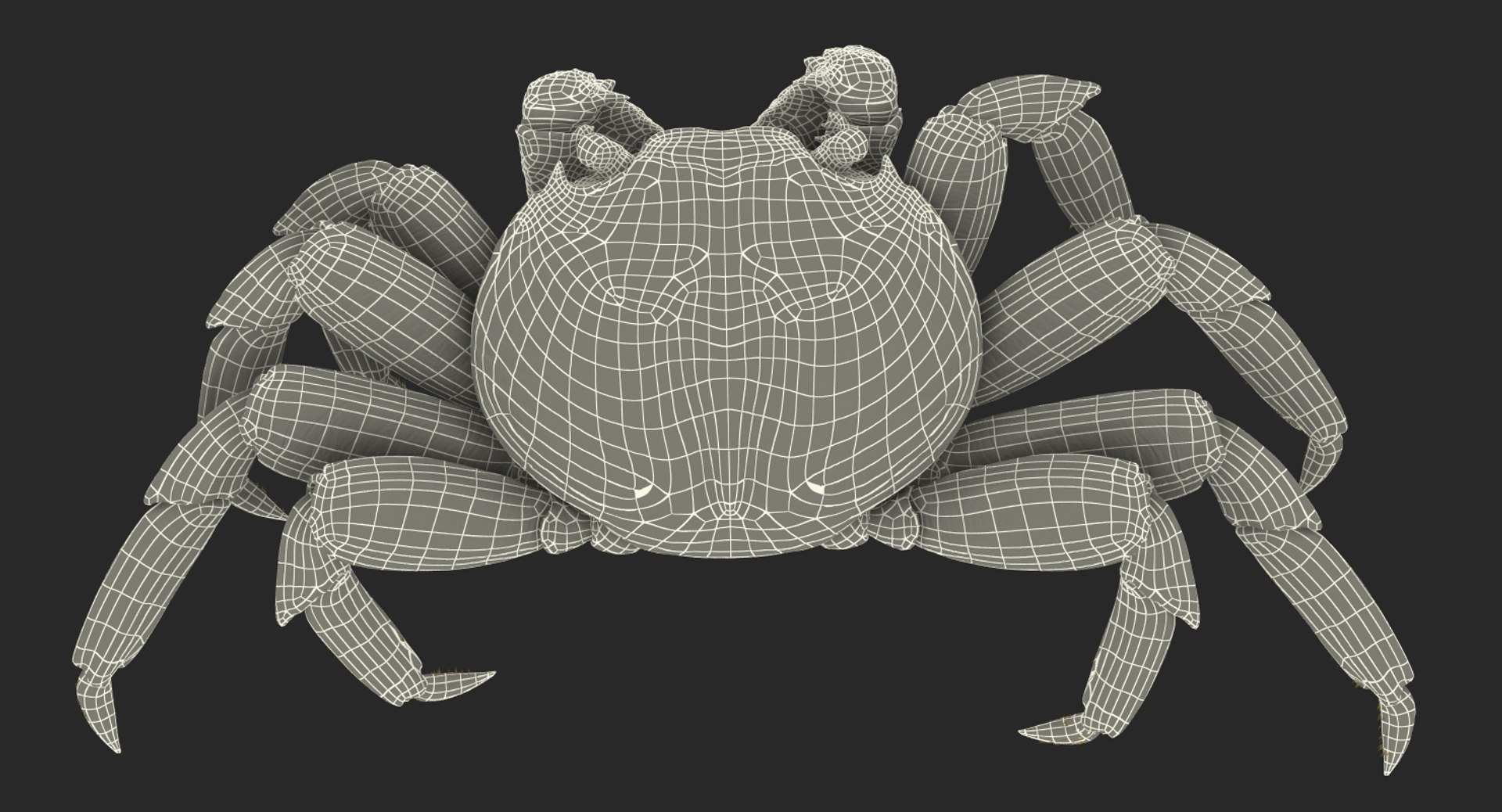3d max sally lightfoot crab https://p.turbosquid.com/ts-thumb/6C/Uyv0hG/JUmBrtcQ/sallylightfootcrabvray3dmodel017/jpg/1488348998/1920x1080/fit_q87/36f6cde62223fcd20a7b62cd8e605513d8953df2/sallylightfootcrabvray3dmodel017.jpg