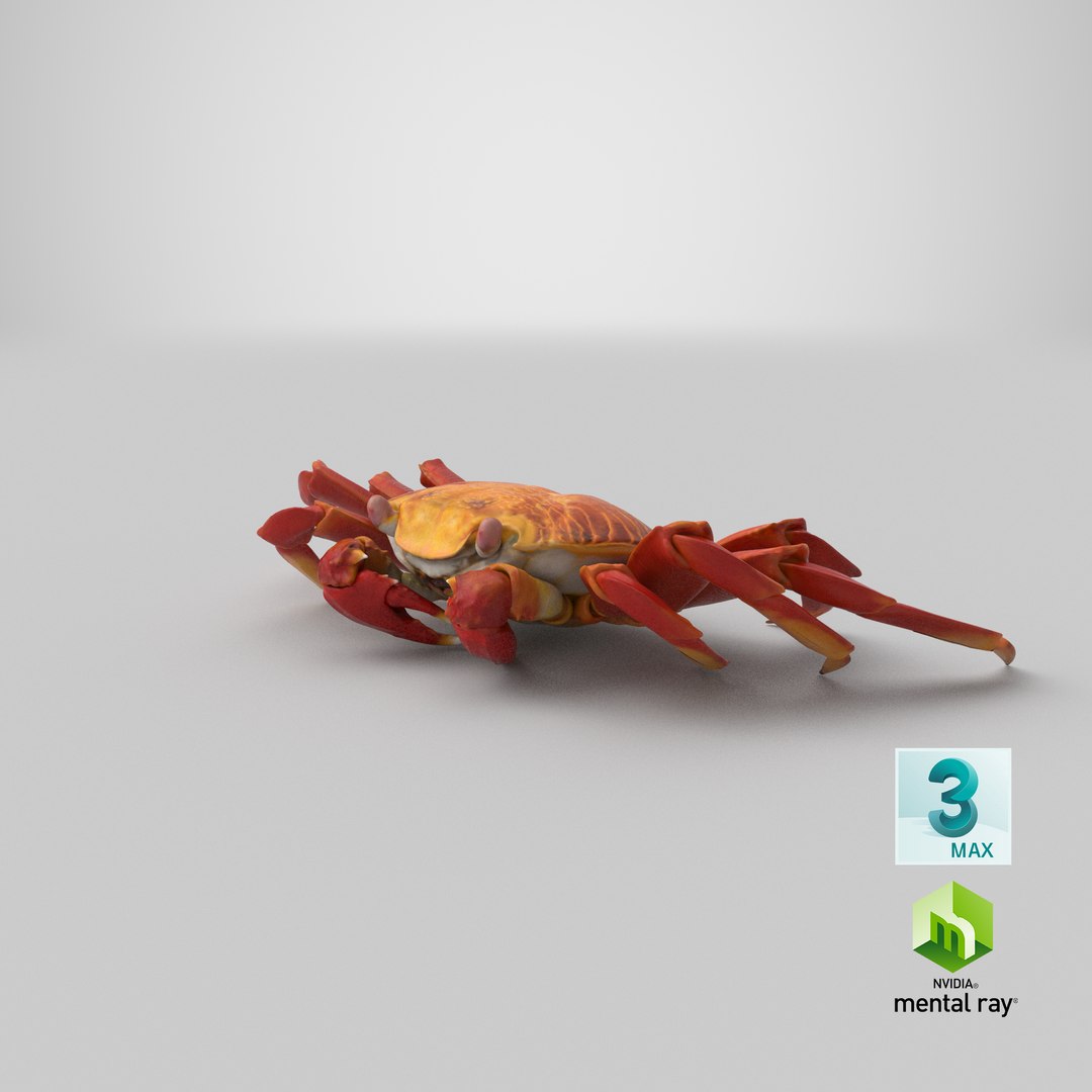 3d max sally lightfoot crab https://p.turbosquid.com/ts-thumb/6C/Uyv0hG/b4/stemcell_max_mental_ray_render/png/1653482671/1920x1080/fit_q87/7553b9a315b5f998c0a5af886affa03f3a52af56/stemcell_max_mental_ray_render.jpg