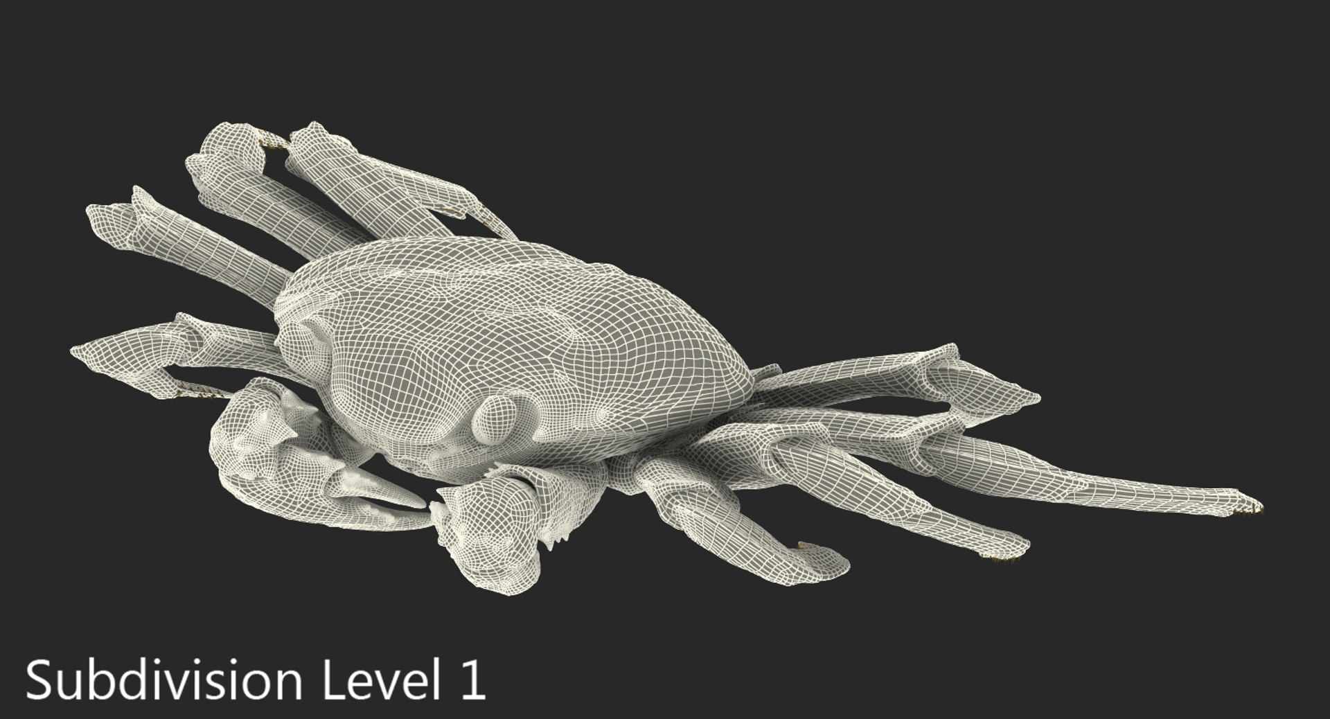 3d max sally lightfoot crab https://p.turbosquid.com/ts-thumb/6C/Uyv0hG/ev3pG2NY/sallylightfootcrabvray3dmodel011/jpg/1488348998/1920x1080/fit_q87/0b57c5432c3603cc6fb632c545775851a031f1a5/sallylightfootcrabvray3dmodel011.jpg