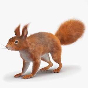 Red Squirrel Fur 3D