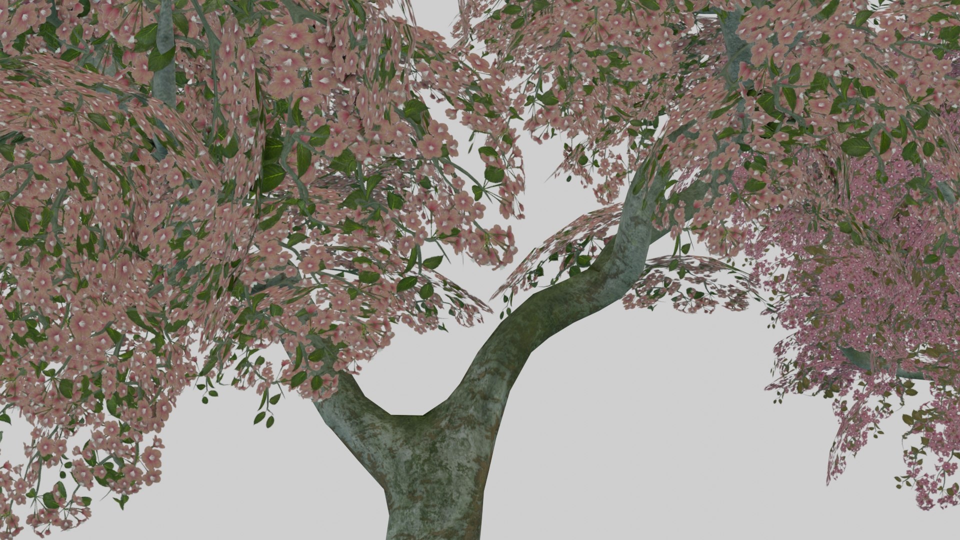 japanese foliage pack pbr 3D model https://p.turbosquid.com/ts-thumb/6C/dM7VRY/6WY6wkEk/preview16/jpg/1572837915/1920x1080/fit_q87/d77c4573a40478e17e2cefb617bda05ab41148ce/preview16.jpg