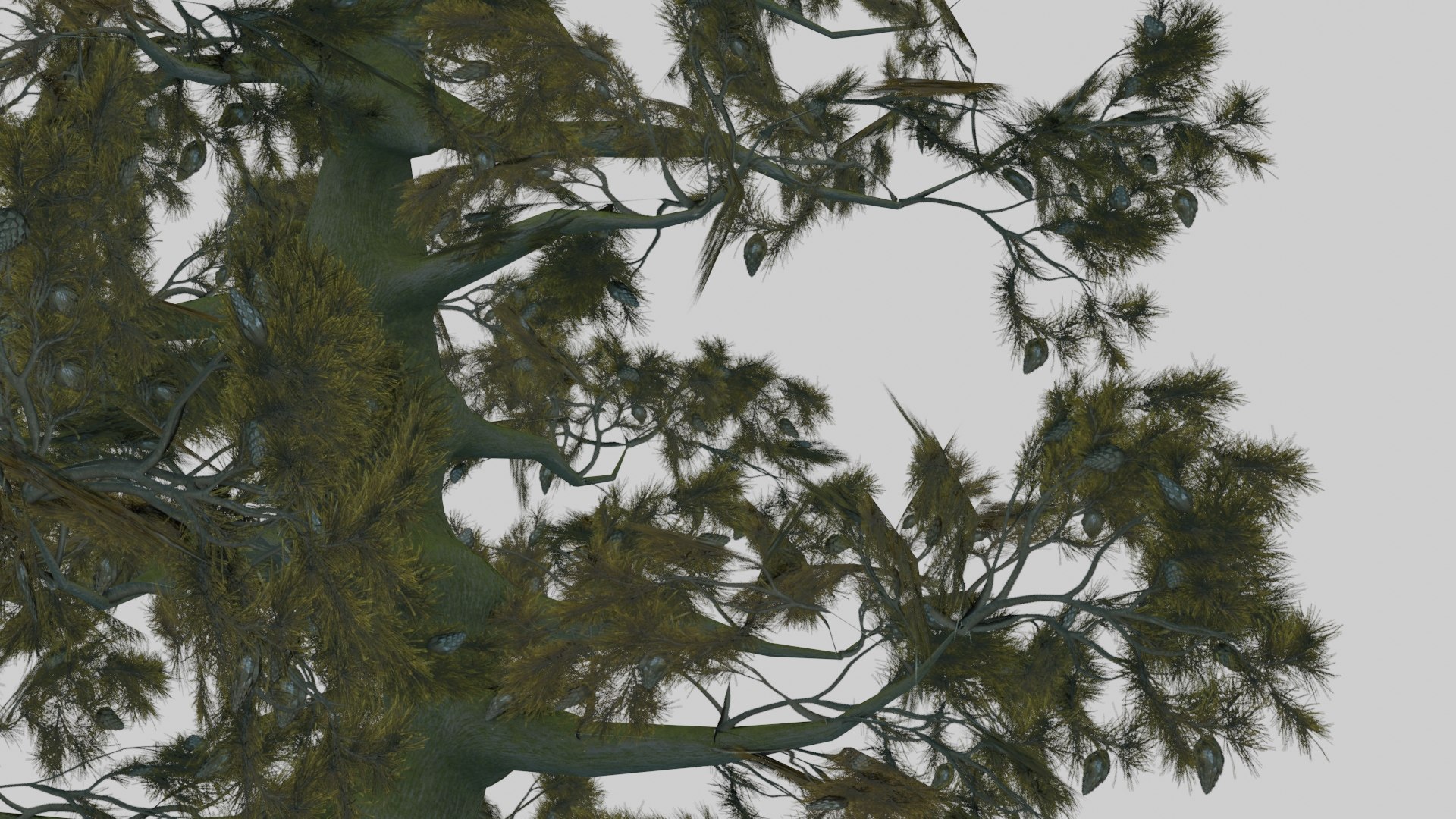 japanese foliage pack pbr 3D model https://p.turbosquid.com/ts-thumb/6C/dM7VRY/AYPBIdhi/preview25/jpg/1572837916/1920x1080/fit_q87/6041b5c391328778d0c71010a69b167fc58ae9ea/preview25.jpg