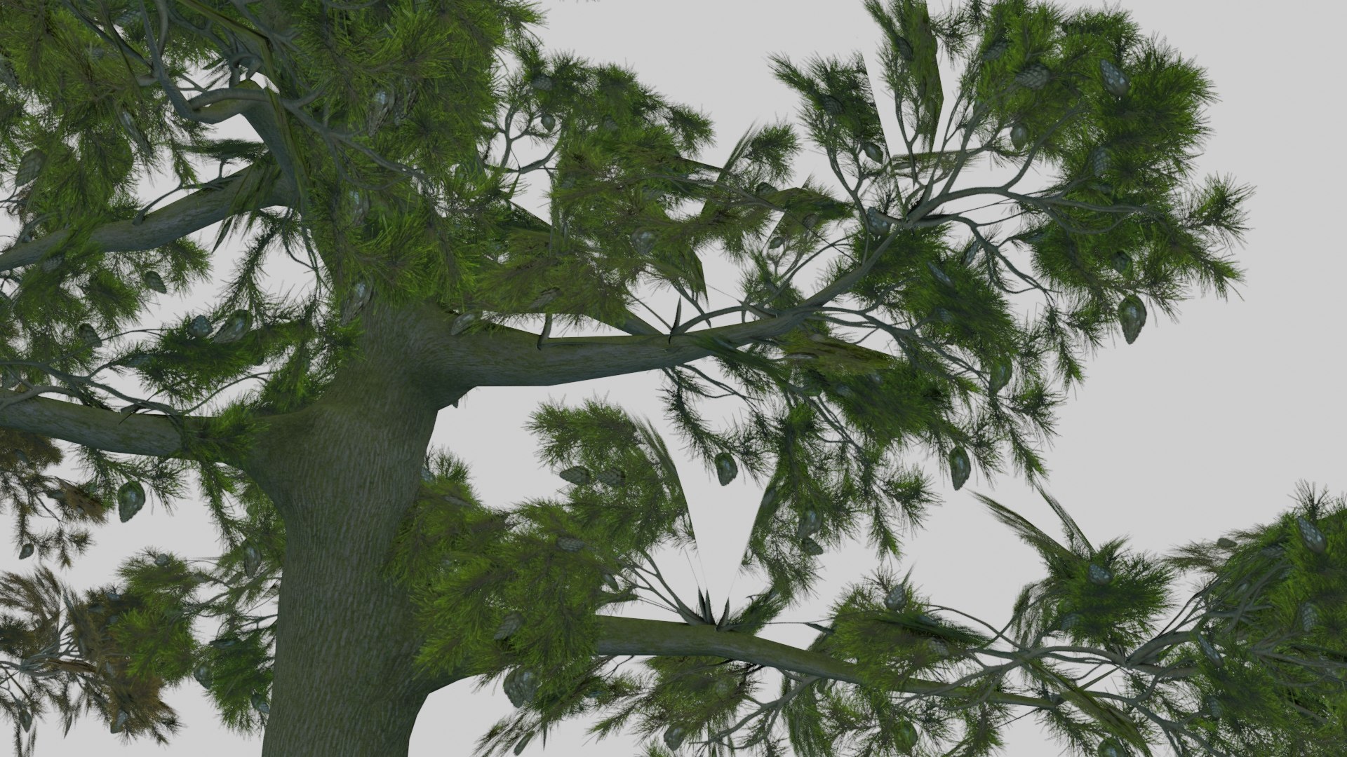 japanese foliage pack pbr 3D model https://p.turbosquid.com/ts-thumb/6C/dM7VRY/ApC8TgXD/preview22/jpg/1572837916/1920x1080/fit_q87/7ceaf9acc67924ec50a611385dad311d770dc2d6/preview22.jpg