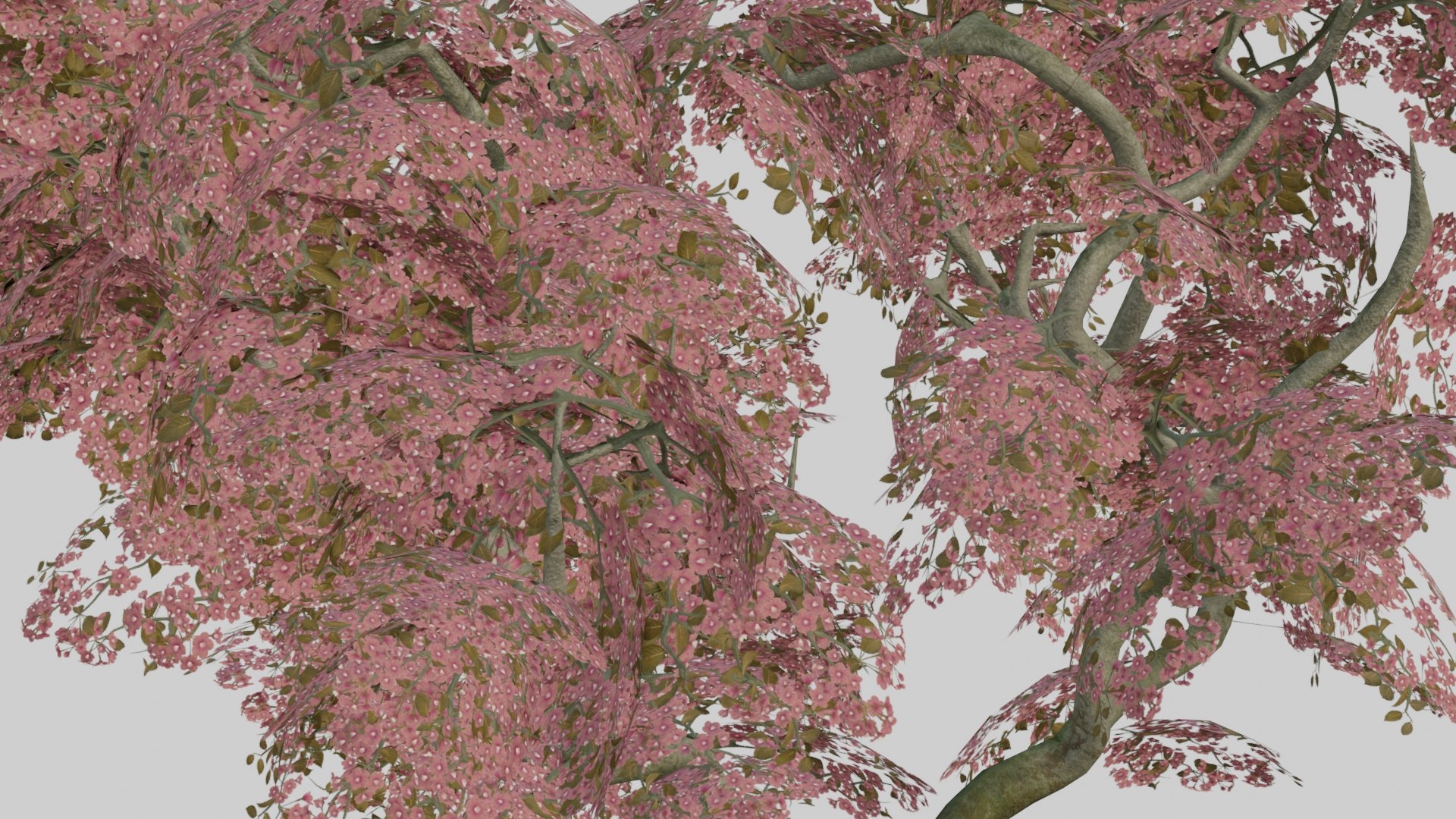 japanese foliage pack pbr 3D model https://p.turbosquid.com/ts-thumb/6C/dM7VRY/CL78V5t4/preview20/jpg/1572837916/1920x1080/fit_q87/59b0bc845c243240ddb6804cc5f594c7e4f0aede/preview20.jpg