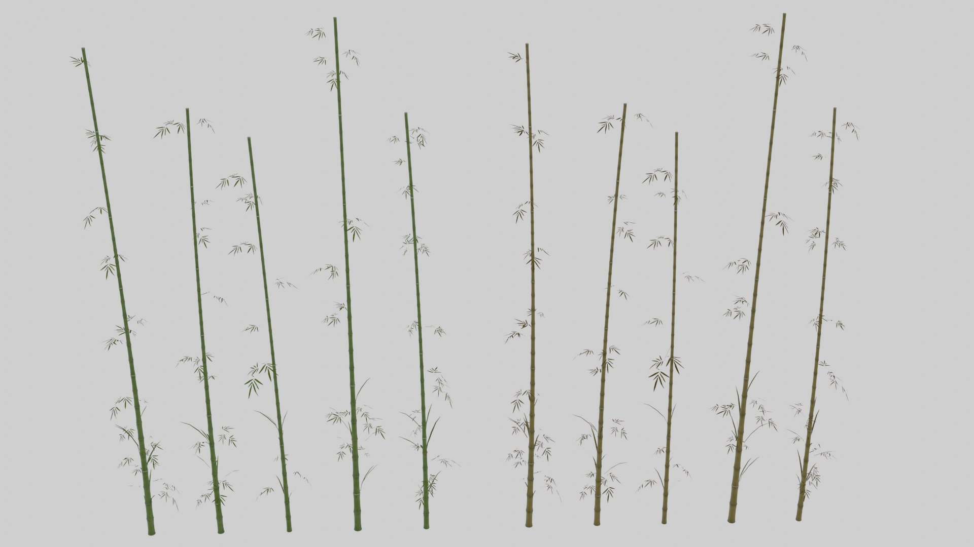 japanese foliage pack pbr 3D model https://p.turbosquid.com/ts-thumb/6C/dM7VRY/DUByadOU/preview12/jpg/1572837915/1920x1080/fit_q87/a51f32904451ec0246362302909b6de854a72149/preview12.jpg