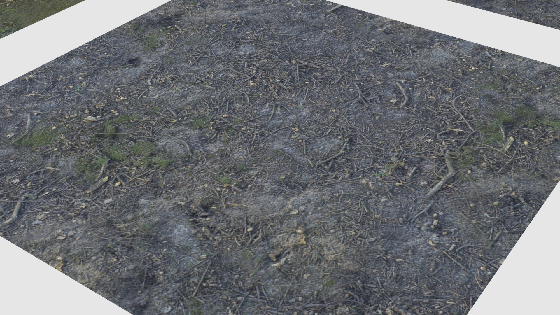 japanese foliage pack pbr 3D model https://p.turbosquid.com/ts-thumb/6C/dM7VRY/PxMJ52aD/preview9/jpg/1572837915/1920x1080/fit_q87/fc89b06d7e804d800c0bf7b679d9a6b07a419406/preview9.jpg