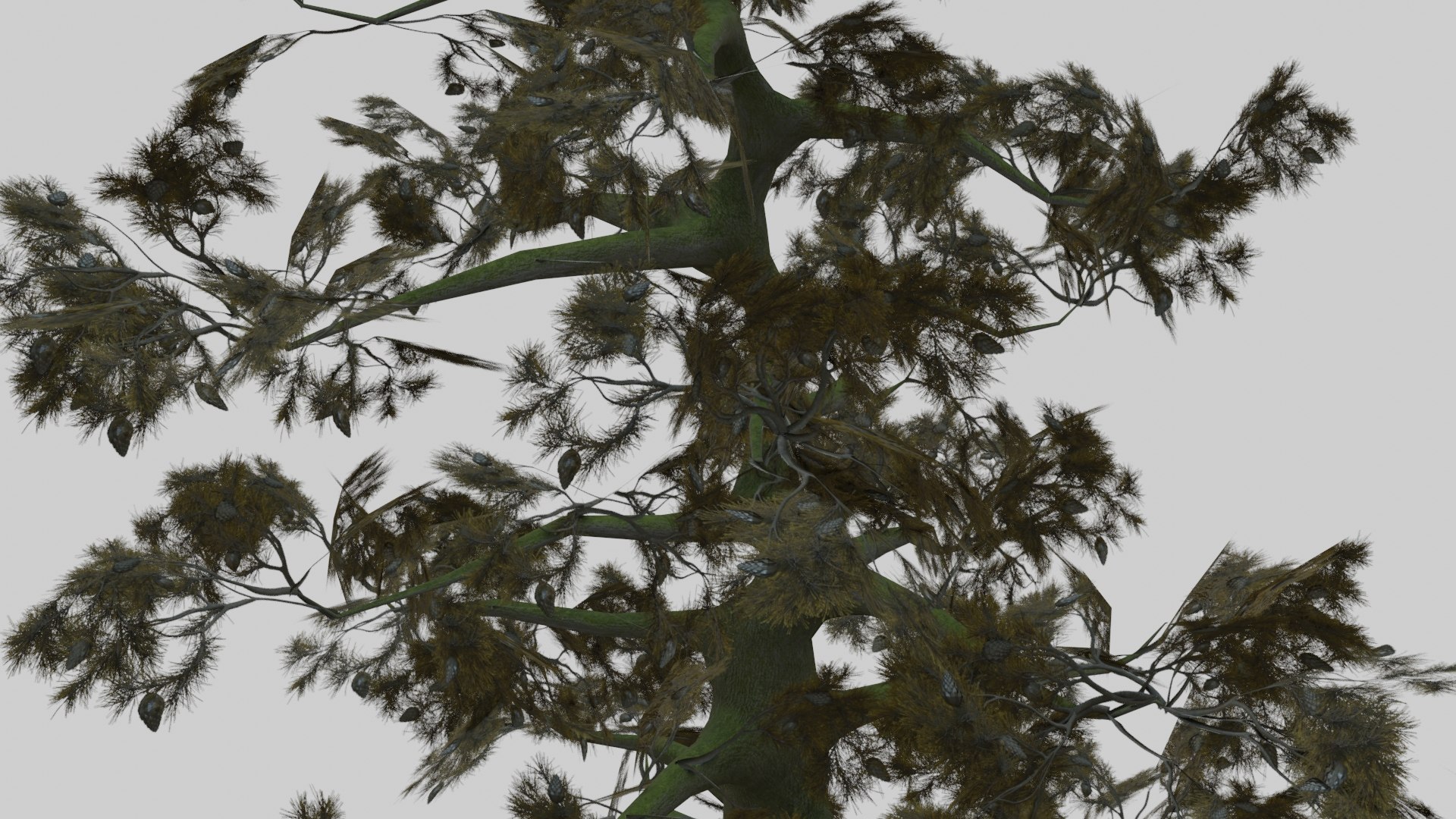 japanese foliage pack pbr 3D model https://p.turbosquid.com/ts-thumb/6C/dM7VRY/QbjwVHdI/preview27/jpg/1572837916/1920x1080/fit_q87/b379aac70f61b577e4115b7e6580cd8104d15a02/preview27.jpg