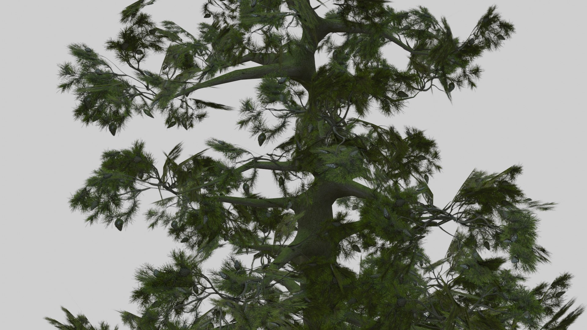 japanese foliage pack pbr 3D model https://p.turbosquid.com/ts-thumb/6C/dM7VRY/UZgMJIY8/preview24/jpg/1572837916/1920x1080/fit_q87/8abb40529531d5c9ed6d8dea81b51c2552d32661/preview24.jpg