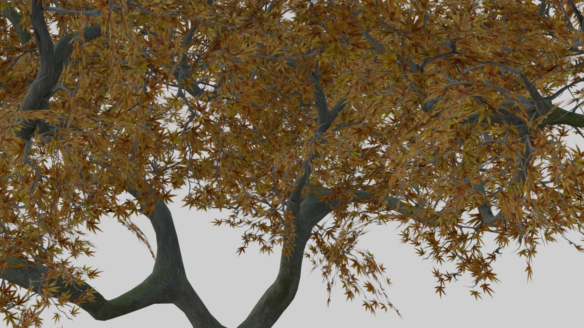 japanese foliage pack pbr 3D model https://p.turbosquid.com/ts-thumb/6C/dM7VRY/ZyQ00HqF/preview32/jpg/1572837916/1920x1080/fit_q87/5b99a4982fcfde1827134a189a8d39671321cbcf/preview32.jpg