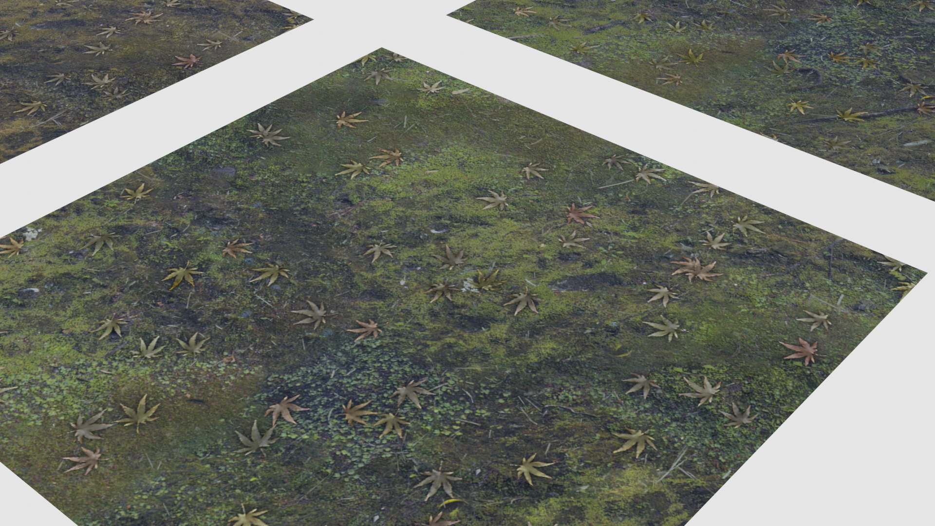 japanese foliage pack pbr 3D model https://p.turbosquid.com/ts-thumb/6C/dM7VRY/aJ4MzDxS/preview7/jpg/1572837915/1920x1080/fit_q87/5440a796f0b6e3213cb998a80334943a707db8a9/preview7.jpg