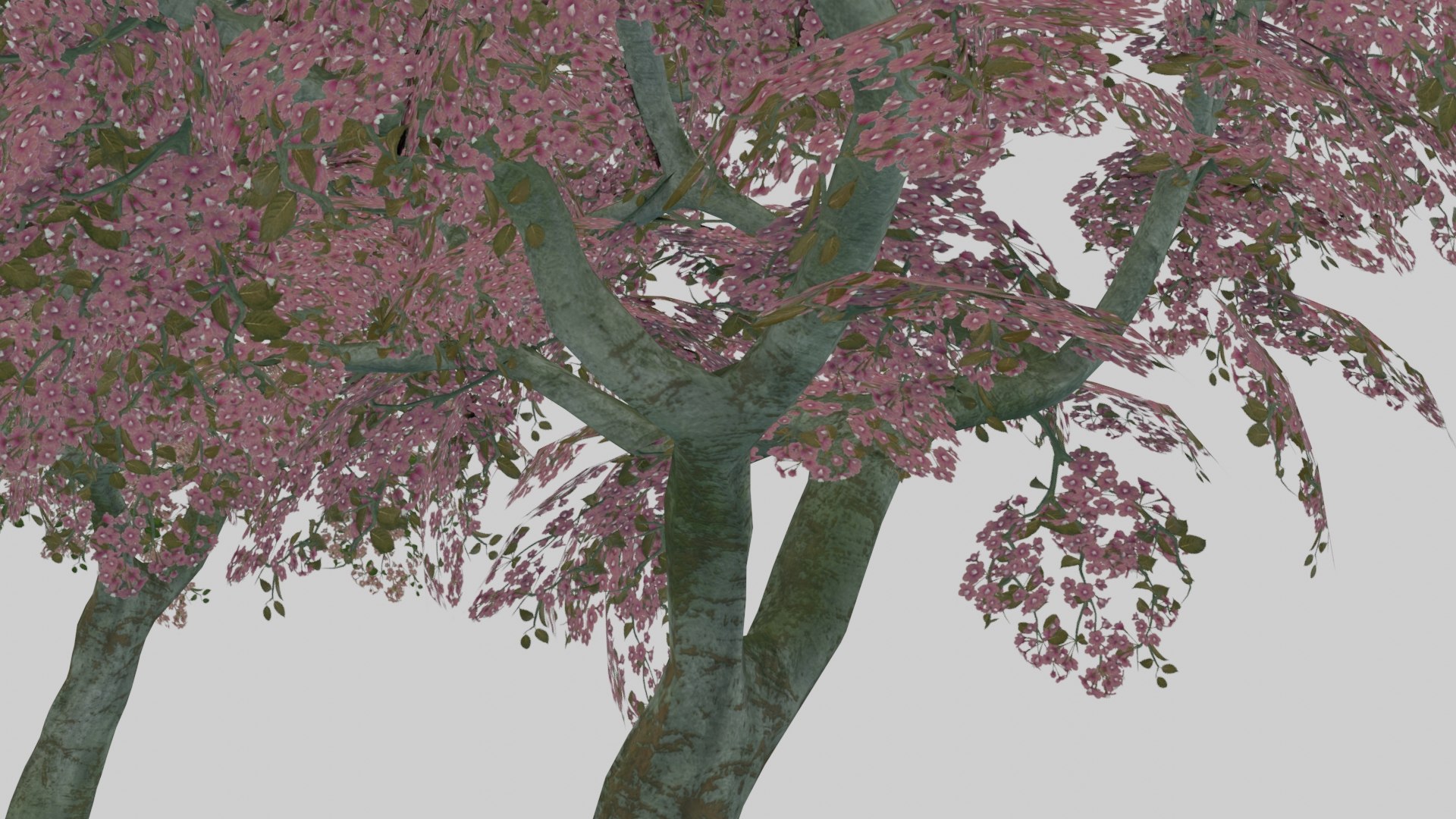 japanese foliage pack pbr 3D model https://p.turbosquid.com/ts-thumb/6C/dM7VRY/cmJ8cyNK/preview19/jpg/1572837916/1920x1080/fit_q87/8dbd3f8be28782d509b01bc1830e22c3c73c79d7/preview19.jpg