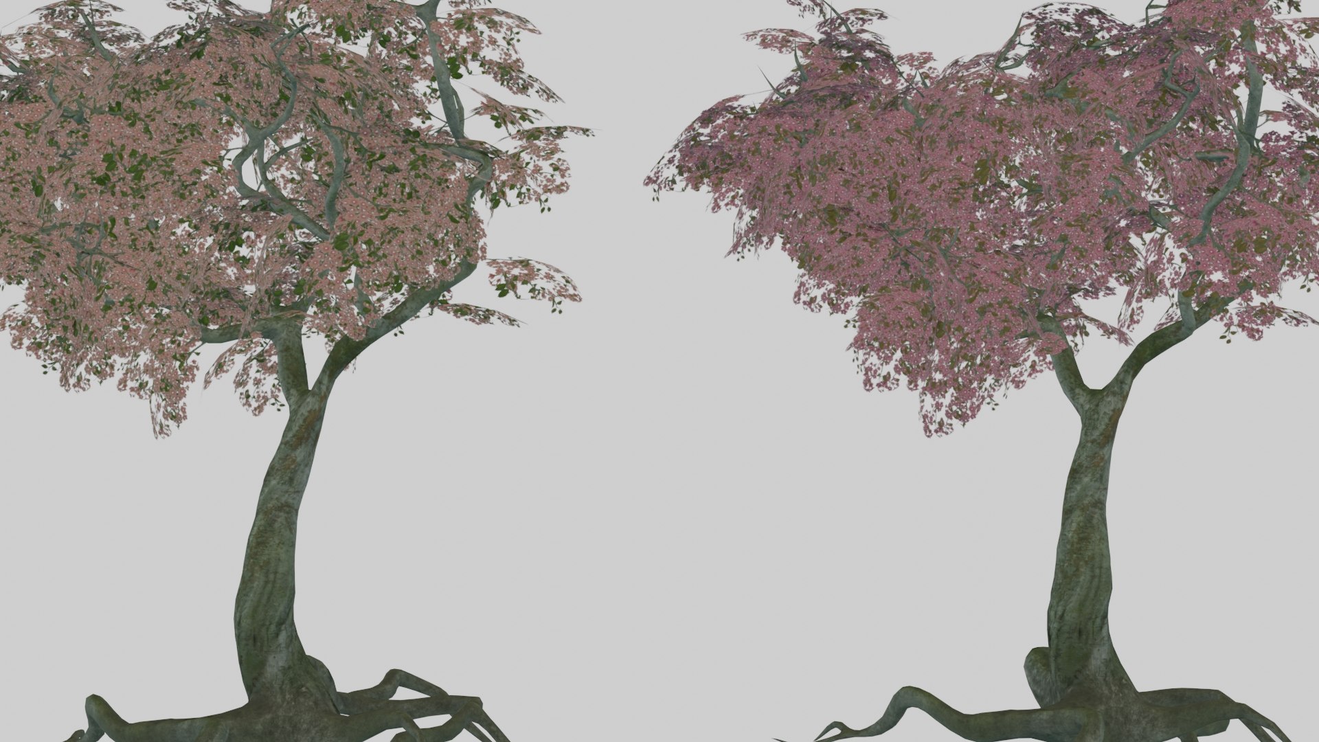 japanese foliage pack pbr 3D model https://p.turbosquid.com/ts-thumb/6C/dM7VRY/ikV1ICAS/preview15/jpg/1572837915/1920x1080/fit_q87/11467f9a1100710ba3d1328bc2f4781b3f4ecb0d/preview15.jpg