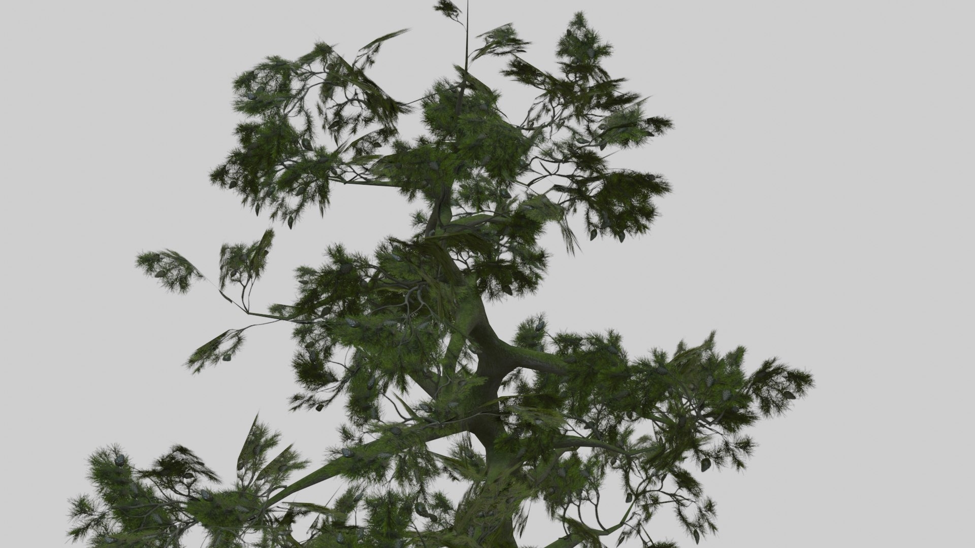 japanese foliage pack pbr 3D model https://p.turbosquid.com/ts-thumb/6C/dM7VRY/ls943Uic/preview23/jpg/1572837916/1920x1080/fit_q87/9d05077fadd06a1f7bb105d545a4aef62a6494ab/preview23.jpg