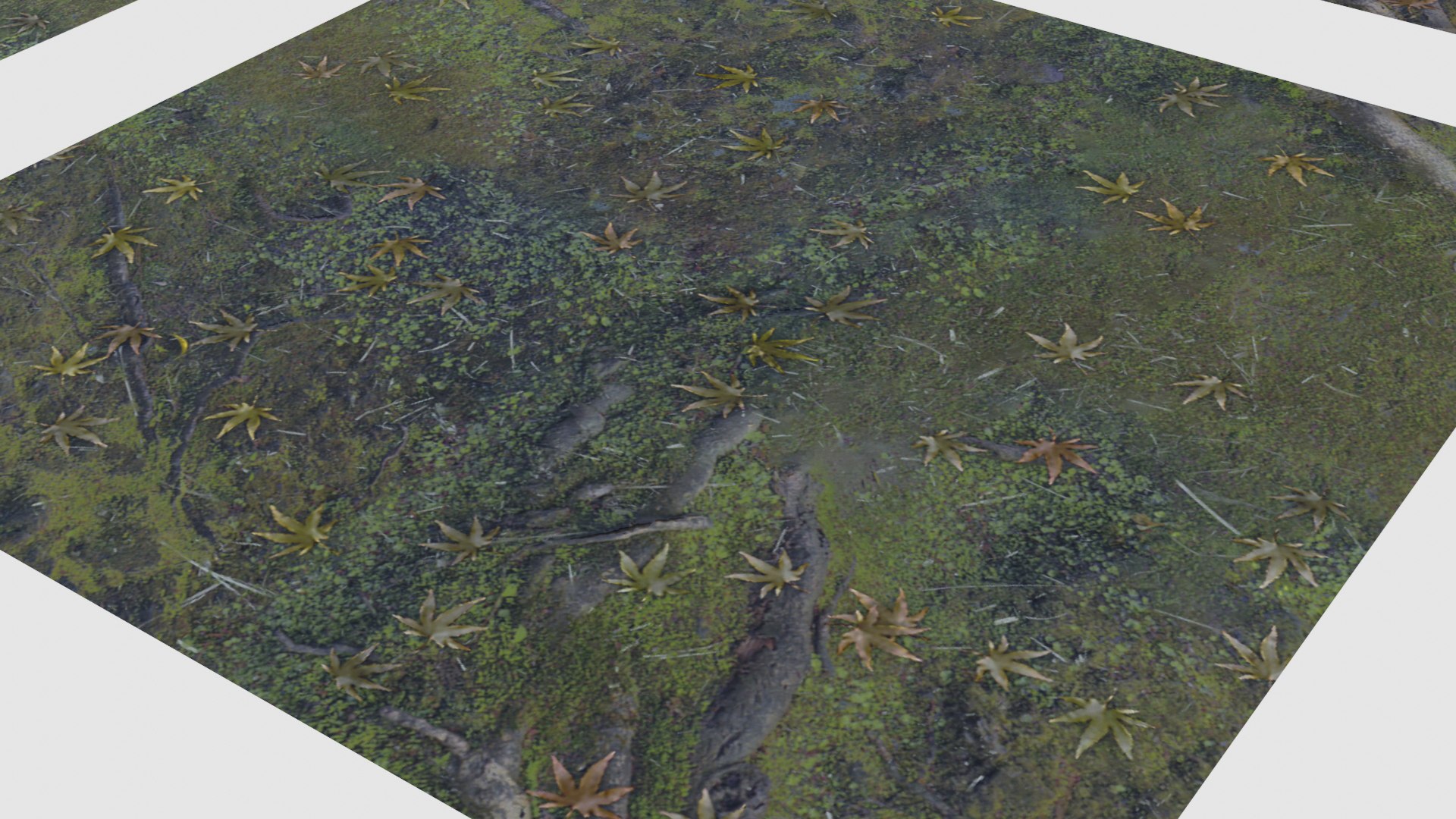 japanese foliage pack pbr 3D model https://p.turbosquid.com/ts-thumb/6C/dM7VRY/pxvXLxOQ/preview8/jpg/1572837915/1920x1080/fit_q87/29121f3881390e9736ab0f327ca50ebf0fcbb3f0/preview8.jpg