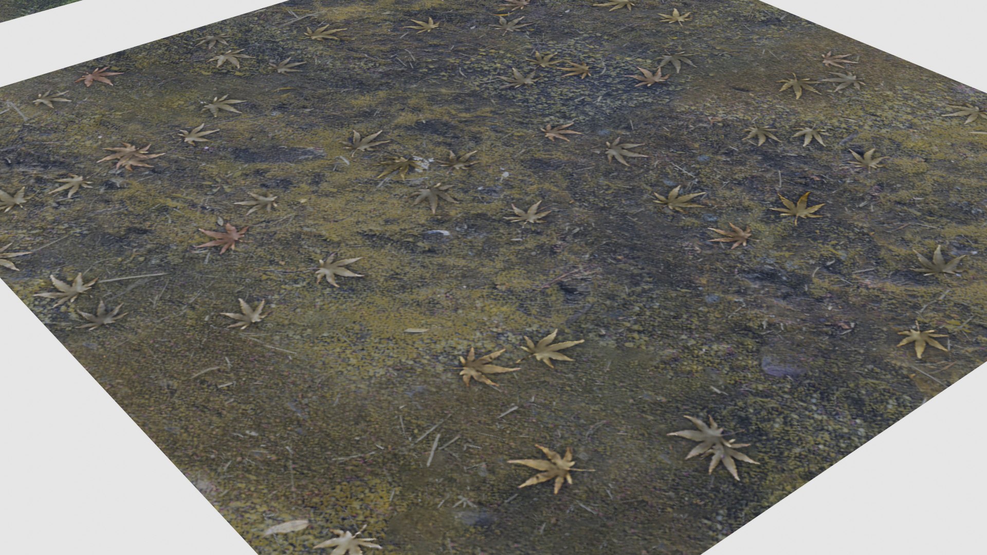 japanese foliage pack pbr 3D model https://p.turbosquid.com/ts-thumb/6C/dM7VRY/qJvxM2iR/preview11/jpg/1572837915/1920x1080/fit_q87/a04b49a24bce35209694734ed8a5e85978534076/preview11.jpg